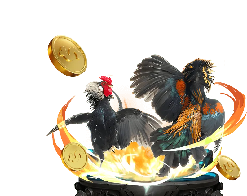 Hoàn trả tiền cược hàng tuần Sodo666 App
